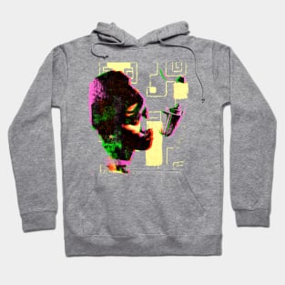 Aretha Franklin Hoodie